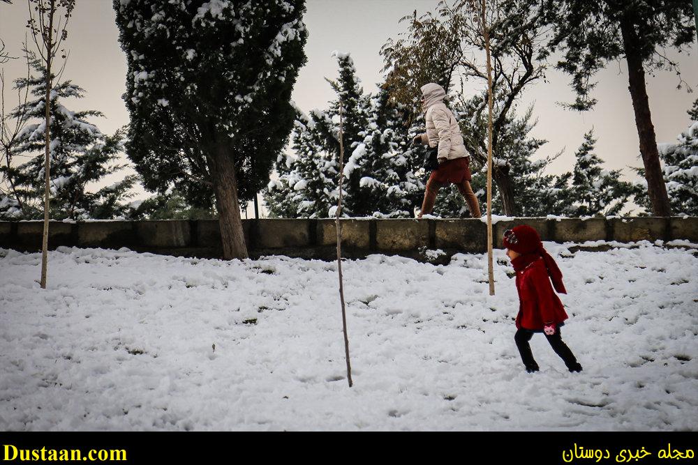 www.dustaan.com-تصاویر: بارش برف امروز تهران