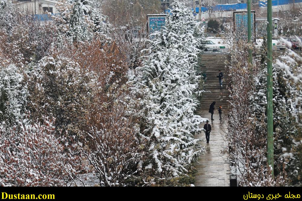 www.dustaan.com-تصاویر: بارش برف امروز تهران