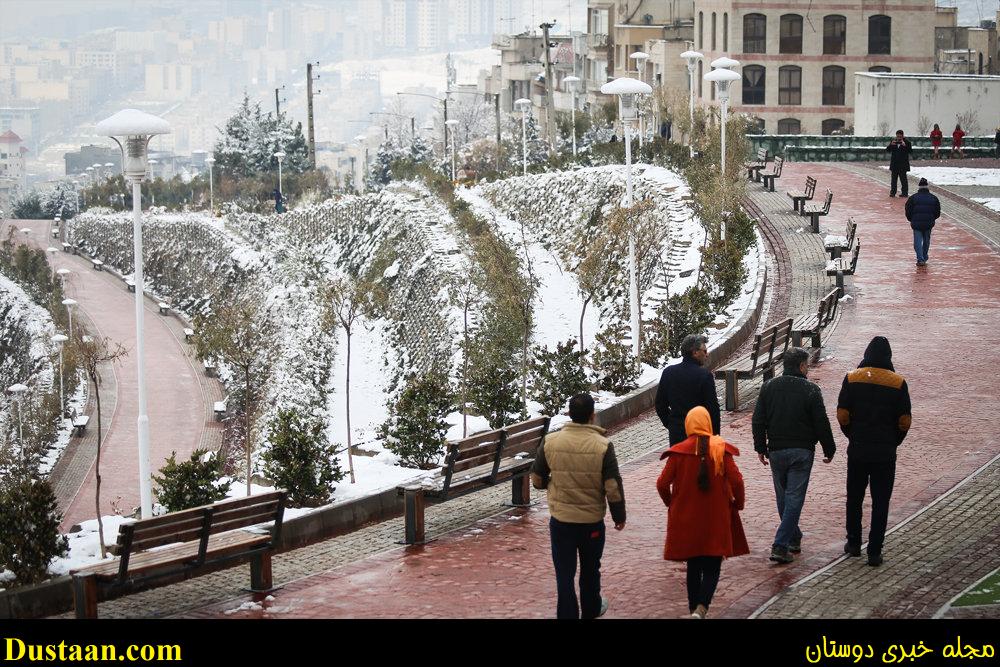 www.dustaan.com-تصاویر: بارش برف امروز تهران
