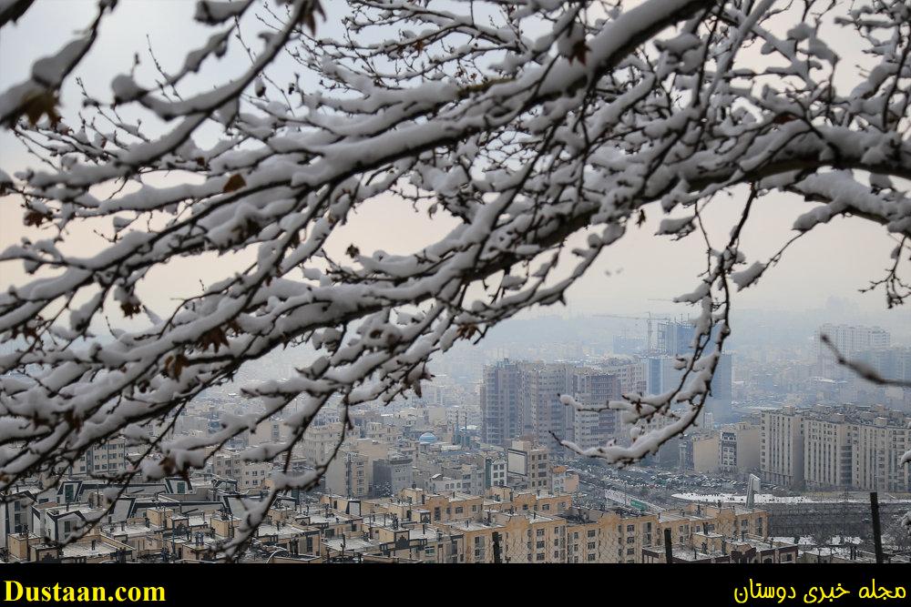 www.dustaan.com-تصاویر: بارش برف امروز تهران