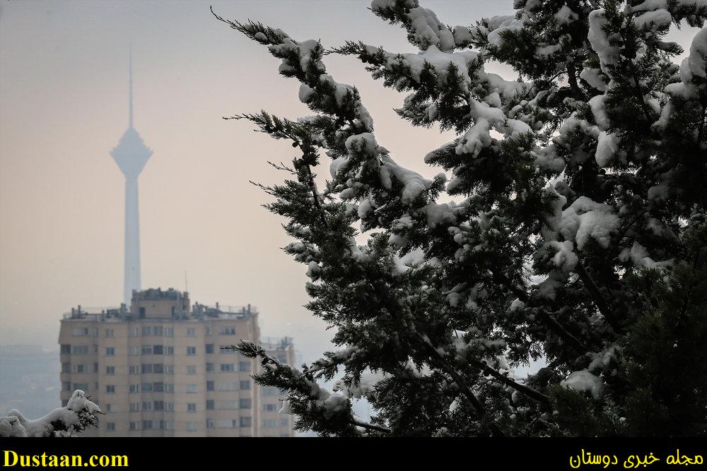 www.dustaan.com-تصاویر: بارش برف امروز تهران