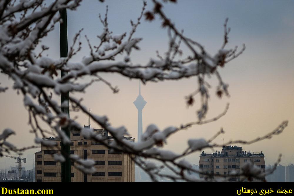 www.dustaan.com-تصاویر: بارش برف امروز تهران