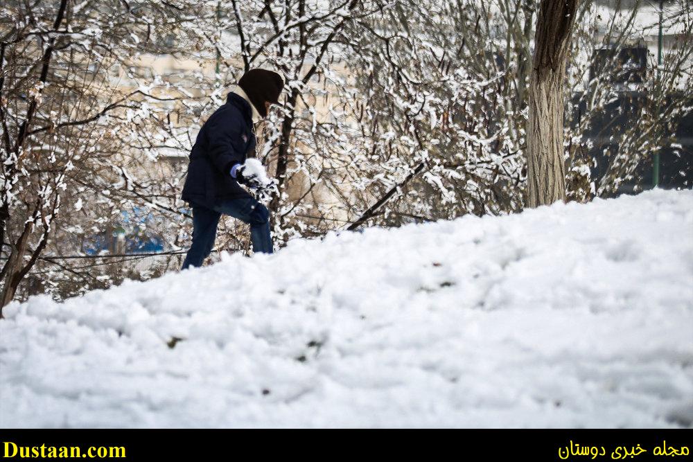 www.dustaan.com-تصاویر: بارش برف امروز تهران