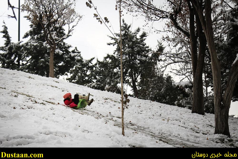 www.dustaan.com-تصاویر: بارش برف امروز تهران