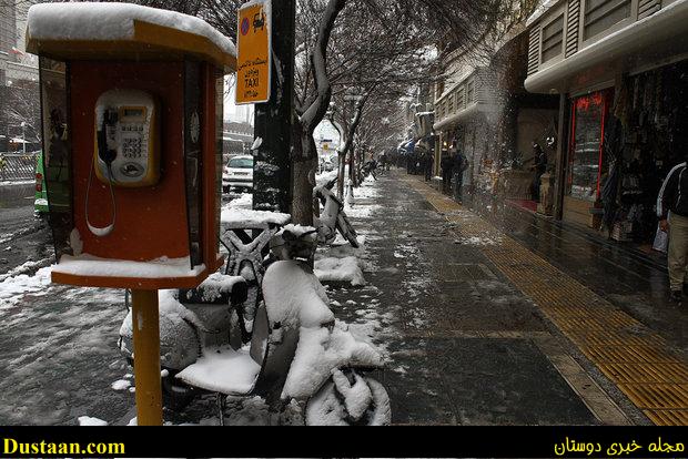 www.dustaan.com-بارش برف در شهر مقدس مشهد +تصاویر
