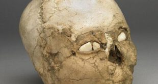 چهره مرد 9500 ساله بازسازی شد + تصاویر