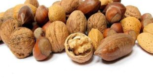 اخبارپزشکی,خبرهای  پزشکی,طول عمر