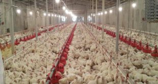 اخبارجدید,خبرهای جدید,اخبارجدید