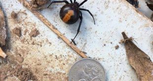 اخبارجدید,خبرهای جدید,اخبارجدید