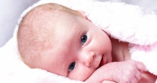 https://www.noskhe.com/wp-content/uploads/2016/08/Babys-First-Month.jpg