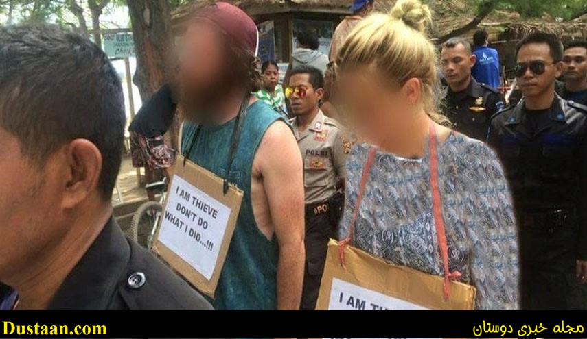 دزد استرالیایی دزد استرالیایی