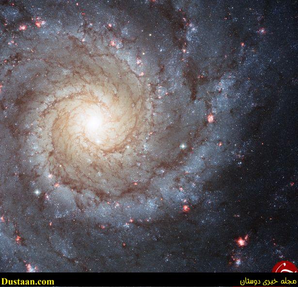 تصاویری حیرت انگیز از جشن کریسمس در فضا+ ( عکس) تصاویری حیرت انگیز از جشن کریسمس در فضا+ ( عکس)