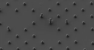 کوچکترین آدم‌برفی جهان