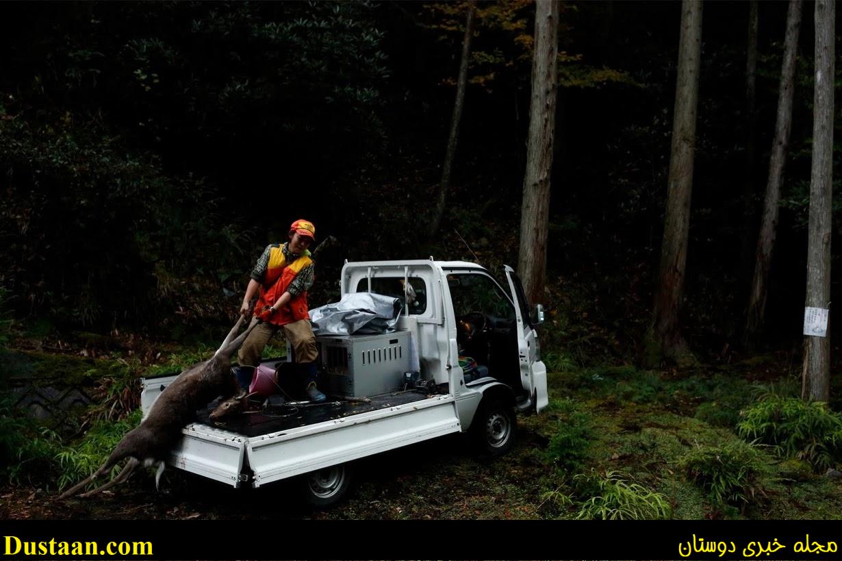 www.dustaan.com-تصاویری از دختران ژاپنی در حال شکار حیوانات