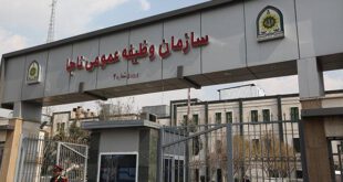 اخباراجتماعی,خبرهای اجتماعی,معافیت پزشکی