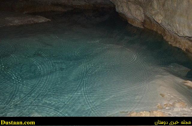 ماهی کور ماهی کور
