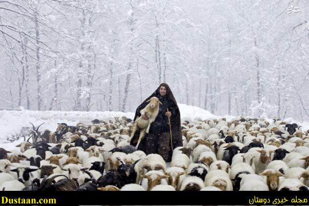 تصاویر/ طبیعت زمستانی تالش