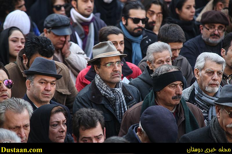 اخبارگوناگون,خبرهای گوناگون,دنیا فنی زاده