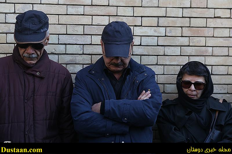 اخبارگوناگون,خبرهای گوناگون,دنیا فنی زاده