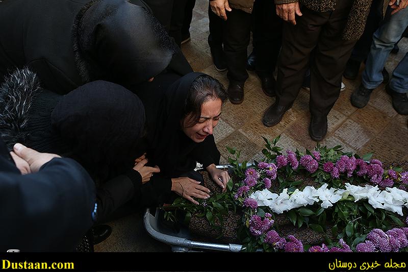 اخبارگوناگون,خبرهای گوناگون,دنیا فنی زاده