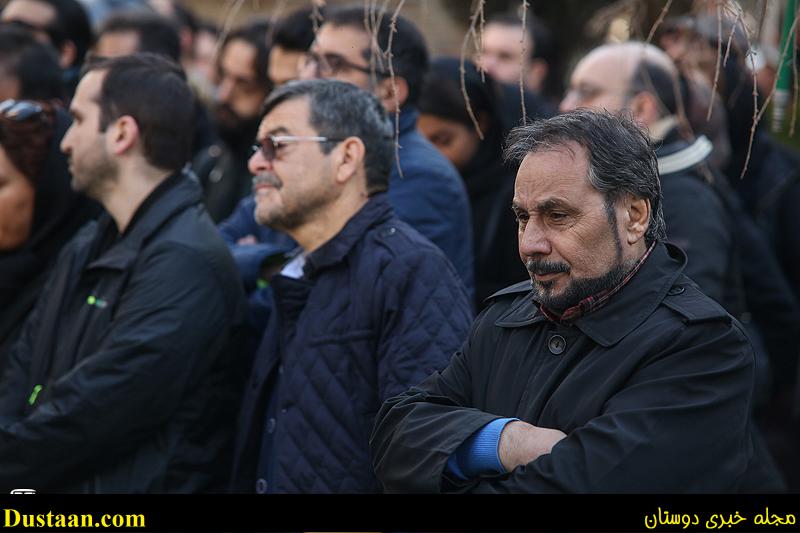 اخبارگوناگون,خبرهای گوناگون,دنیا فنی زاده