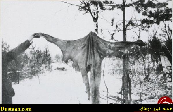 وحشیانه‌ترین روش‌های اعدام در تاریخ جهان +تصاویر