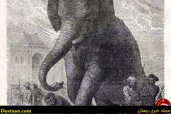 وحشیانه‌ترین روش‌های اعدام در تاریخ جهان +تصاویر