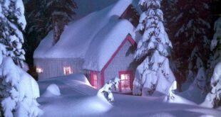 عکس در برف, عکس از برف و زمستان