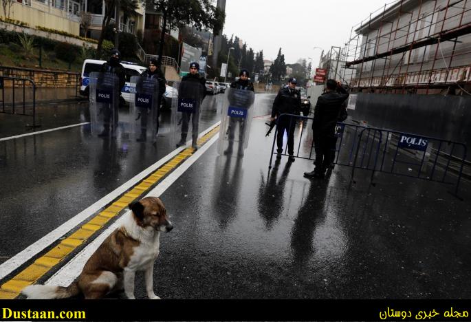 www.dustaan.com-اخرین وضعیت استانبول بعد از حمله تروریستی +تصاویر