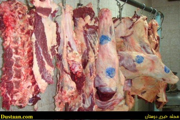 اخباراقتصادی,خبرهای اقتصادی ,گوشت اخباراقتصادی,خبرهای اقتصادی ,گوشت