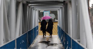 اخبار اجتماعی ,خبرهای اجتماعی ,بارش باران