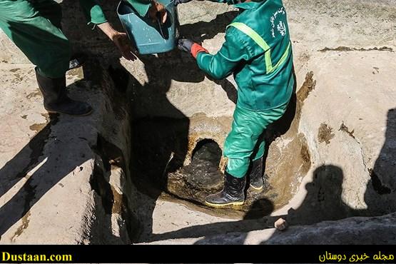  اخبااجتماعی  ,خبرهای  اجتماعی  , مقصران  مرگ فاطمه