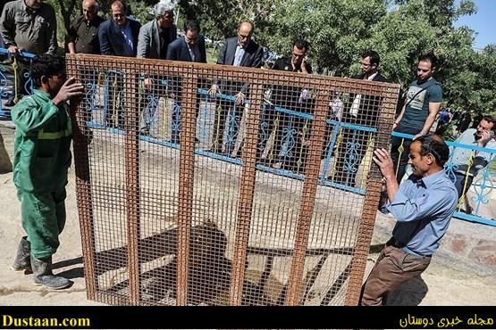   اخبااجتماعی  ,خبرهای  اجتماعی  , مقصران  مرگ فاطمه