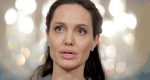 اخبار فرهنگی ,خبرهای  فرهنگی ,آنجلینا جولی