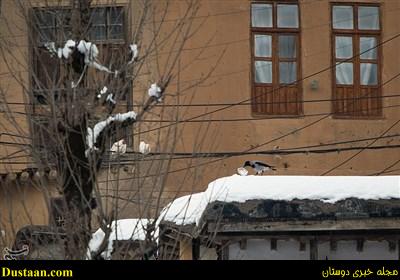 www.dustaan.com-تصاویر: بارش برف ماسوله را سفیدپوش کرد