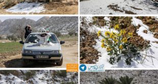 اولین برف تاریخ پارسیان