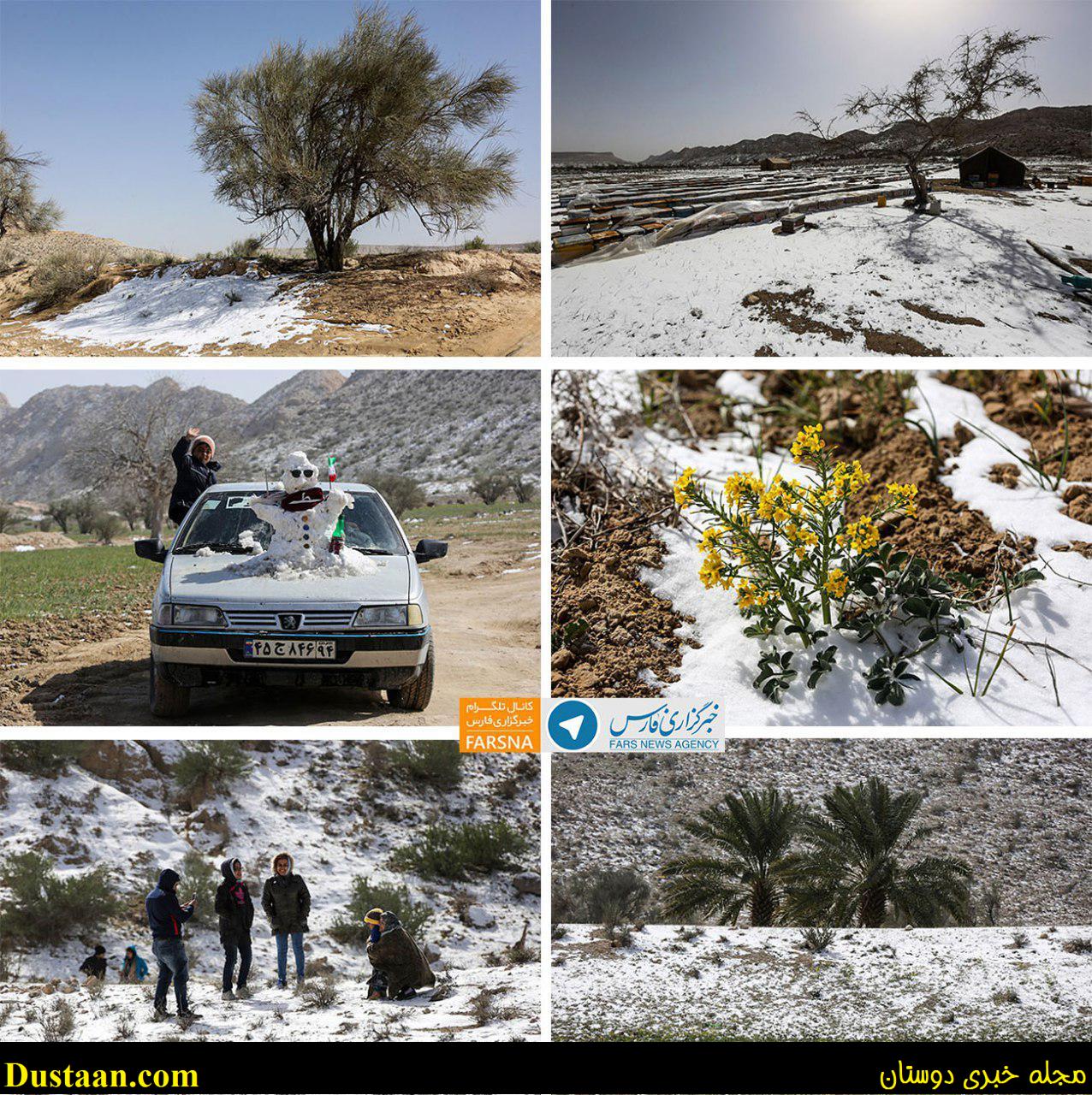  اولین برف تاریخ پارسیان