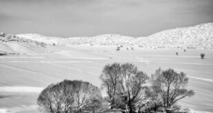 مناظر برفی کردستان