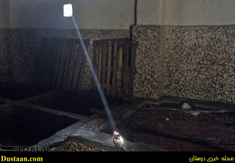 گزارش تصویری: مراحل دودی کردن ماهی گزارش تصویری: مراحل دودی کردن ماهی