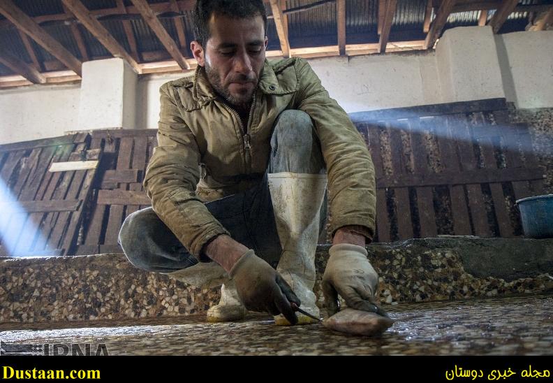 گزارش تصویری: مراحل دودی کردن ماهی گزارش تصویری: مراحل دودی کردن ماهی