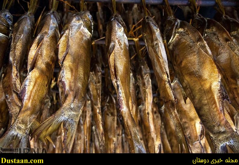 گزارش تصویری: مراحل دودی کردن ماهی گزارش تصویری: مراحل دودی کردن ماهی