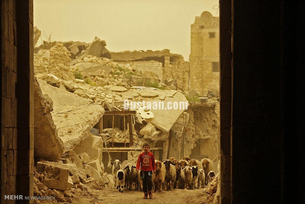 طوفان شن در حلب‎/تصاویر