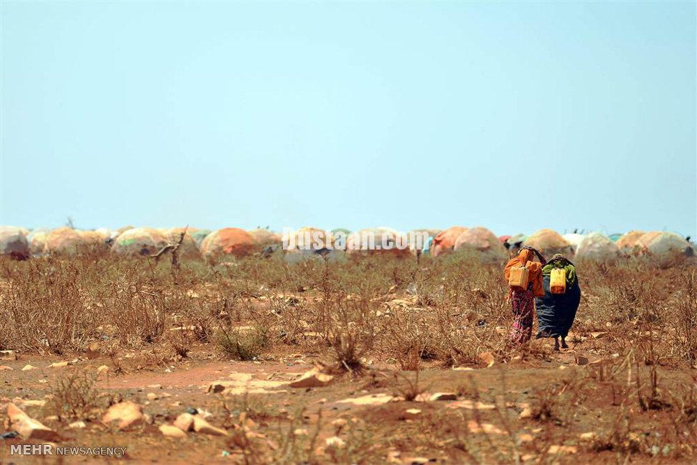 تصاویر قحطی در سومالی‎