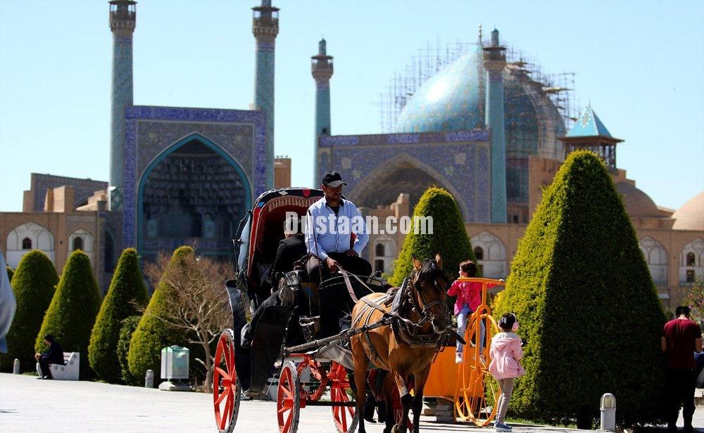 هم قدم با مسافران نصف جهان/تصاویر