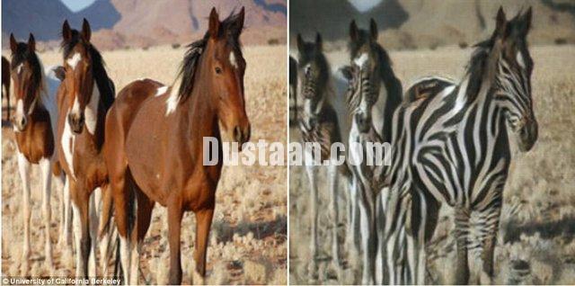 اخبارعلمی,خبرهای علمی,تبدیل نقاشیهای قدیمی به عکس اخبارعلمی,خبرهای علمی,تبدیل نقاشیهای قدیمی به عکس