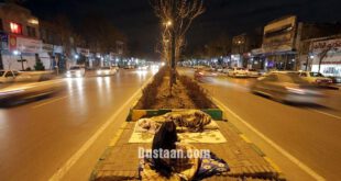 مشهد در شب پس  لرزه  ها/تصاویر