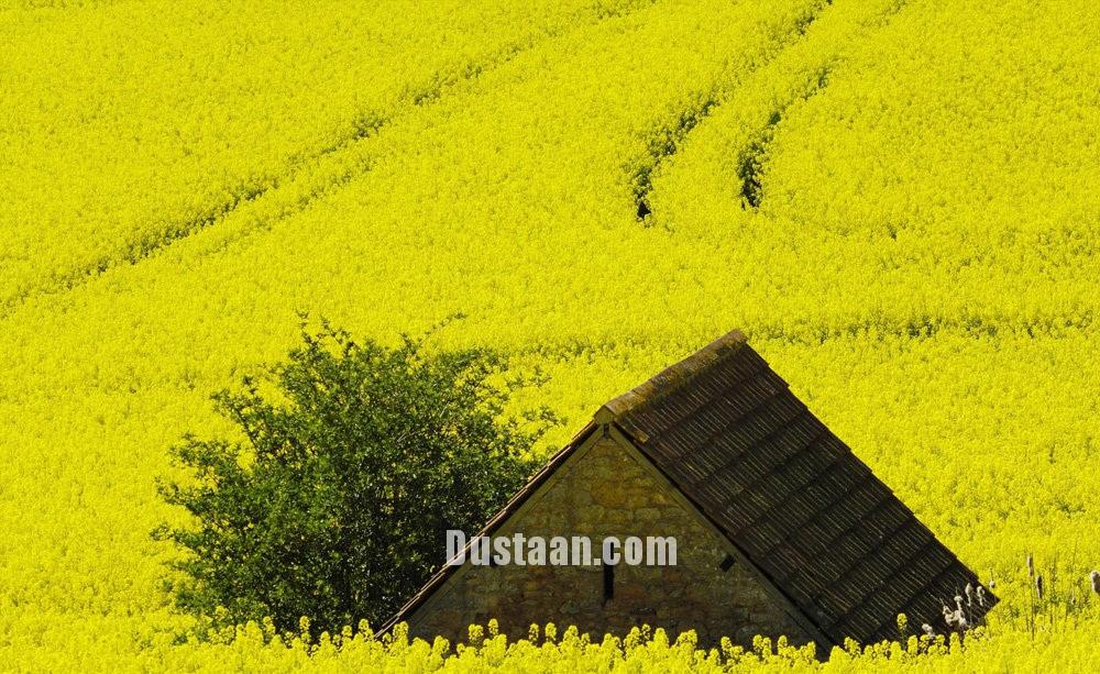  بهار در نقاط مختلف جهان‎ 