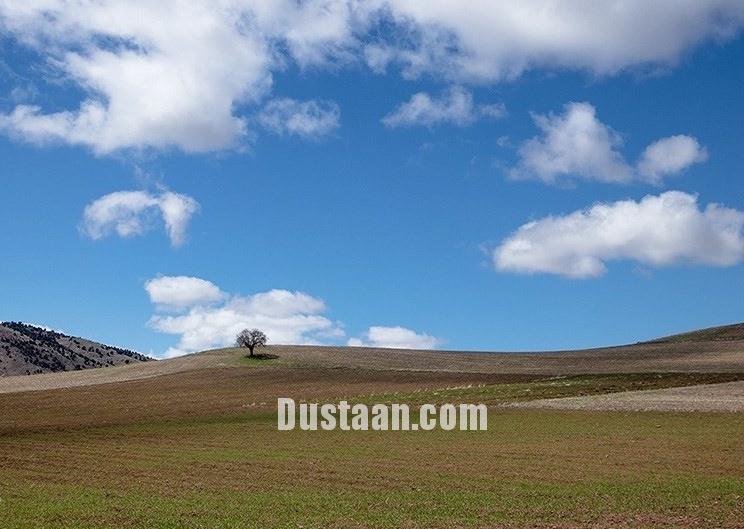 اخبار,انعکاس,طبیعت بهاری اردبیل