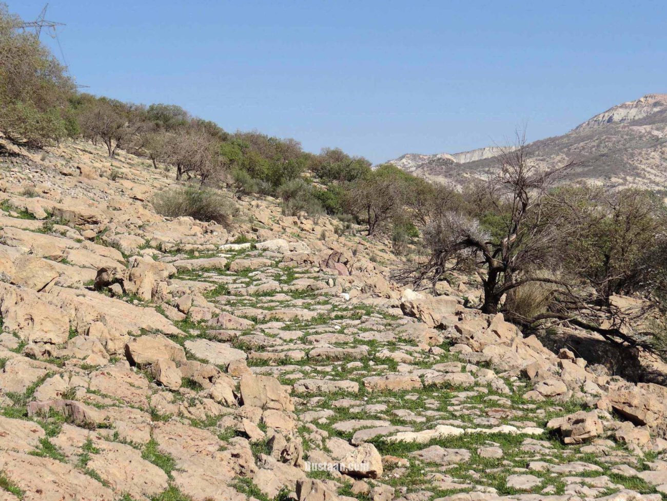 کشف سنگفرش ۱۸۰۰ ساله در ایران