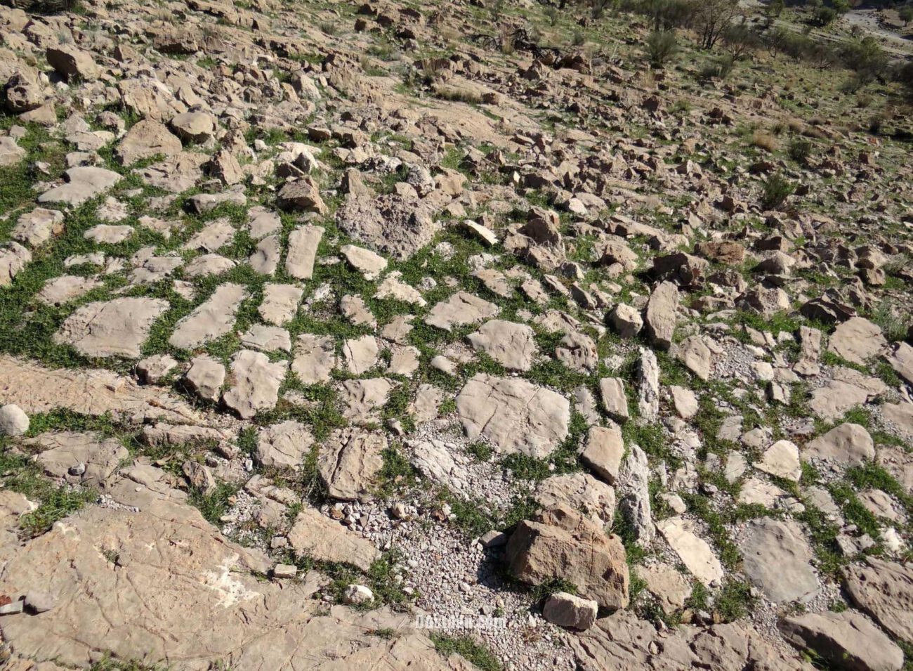 کشف سنگفرش ۱۸۰۰ ساله در ایران